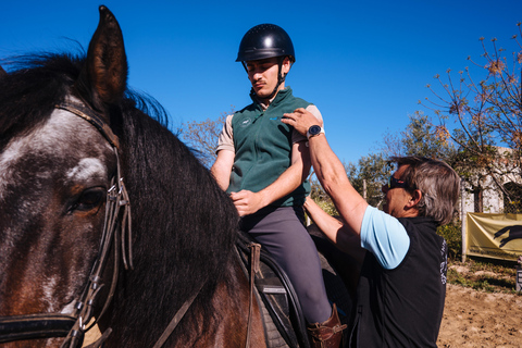 Horseback ride around Doñana National Park Horseback riding around Doñana National Park