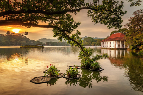 Kandy Tagestour von Colombo mit Auto / Van