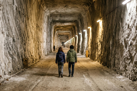 Dracula Tomb & Slănic Salt Mine Skip-the-line Dracula Tomb & Slănic Salt Mine Skip-the-line