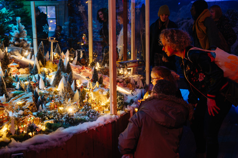 Amsterdam: Het Amsterdamse Winterparadijs Entry Ticket