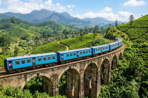 From Kandy: Nanu Oya to Ella Train Journey & Tea Highlands