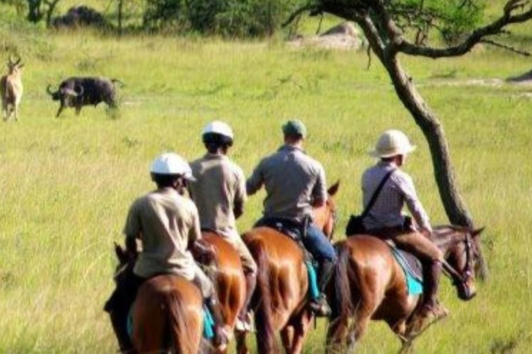 UGANDA HORSEBACK - paisagens e aventuras cénicas | 8 dias