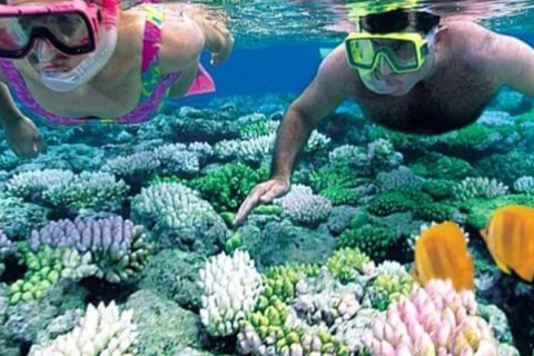 ZANZIBAR : Safari Blue Honeymoon tourExcursion sans prise en charge et retour à l'hôtel