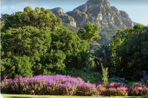 Kapstadt: Bo-Kaap, Tafelberg und Groot Constantia ...