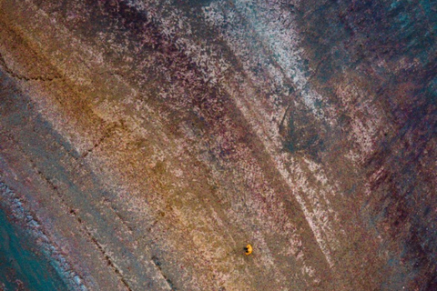 Cusco: Palcoyo Mountain Day Trip with Breakfast and Lunch