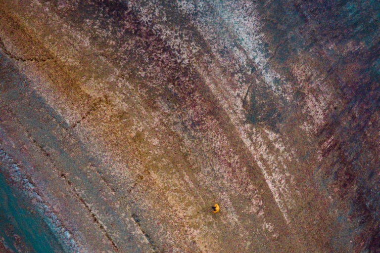 Cusco: Palcoyo Mountain Day Trip with Breakfast and Lunch