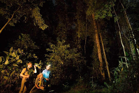 Depuis Madre de Dios Trekking de nuit dans la jungle amazonienne