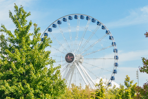 Chicago: Hop-on Hop-off Sightseeing Tour mit dem Open-Top-Bus24-h-Ticket für den Hop-On/Hop-Off-Bus