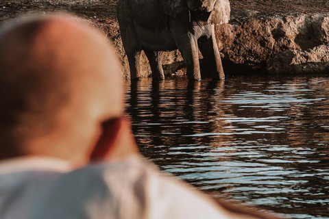 Chobe River Private 3 Hour Boat Safari