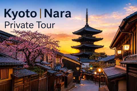 Kyoto / Nara : Kyoto & Nara Private Tour with Driver / Guide - Image 3