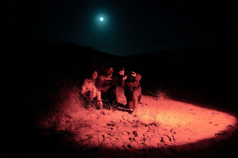 Stewart Island: Wild Kiwi Experiences Stewart Island: Wild Kiwi Encounter