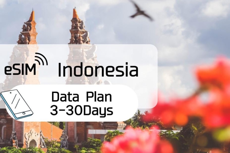 Indonezja: Plan taryfowy eSim na transmisję danych w roamingu (0,5-2 GB/dzień)Codziennie 500 MB/30 dni