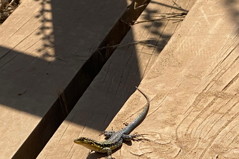 Private Tour Aviary Tricao Park & Pablo Neruda's House