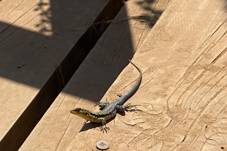 Private Tour Aviary Tricao Park & Pablo Neruda's House