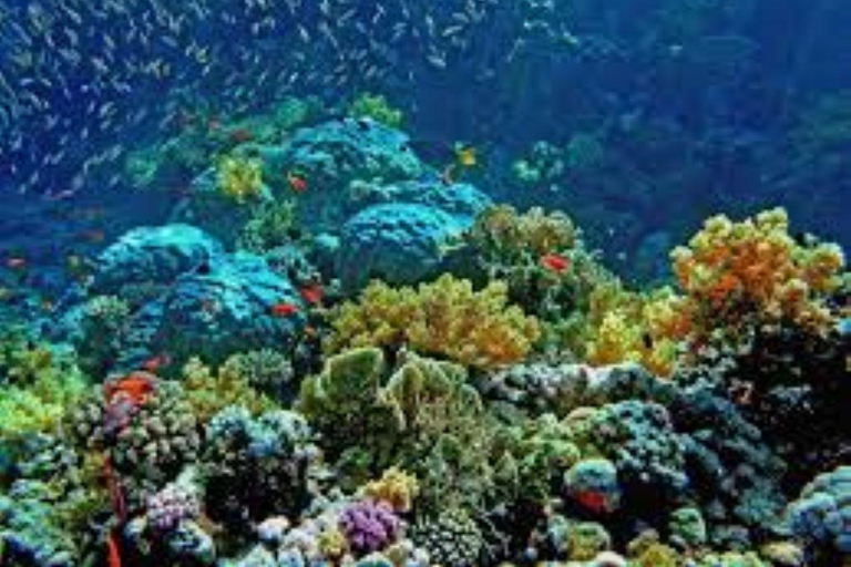 Coron: 3-Day Adventure with Busuanga Reefs and Wrecks Tour