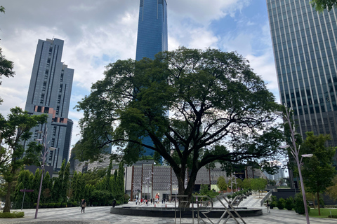 Kuala Lumpur: Twin Towers & Bukit Bintang