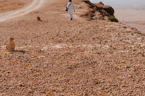 Desde Riad: Aventura en el confín del mundo y Darb Al-Manjoor