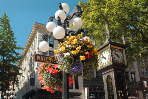 Vancouver: tour privado por lo más destacado de la ciudad