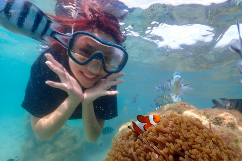 Pattaya/Rayong: Half day Snorkeling tour