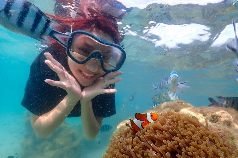 Pattaya/Rayong: Half day Snorkeling tour