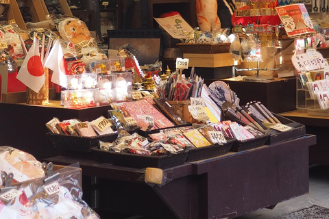 E-Bike Tour in Kyoto with Asuka, Japanese graduate student