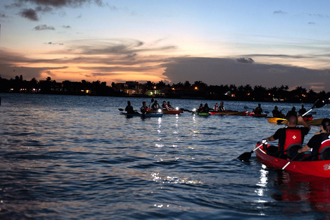 Sigiriya: Full Moon Night Kayaking Adventure