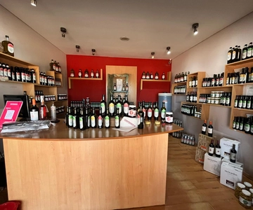 Tour pelas adegas com almoço em Maipu
