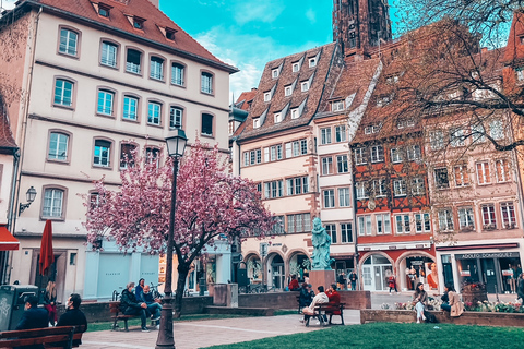 Walking tour in Strasbourg between history and curiosities