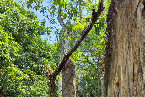 Original Açaí Experience and Visit to the Ruins of Paricatuba in Amazonas