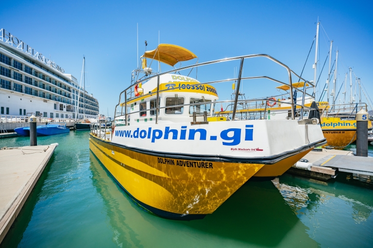 Gibraltar: Dolphin Watching Tour Standard Option