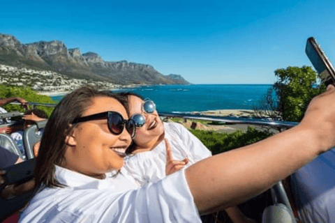 Cape Town: Franschhoek Wine Tram Tour with Tastings