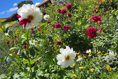 Tour dei fiori e dei silleteros di Medellin