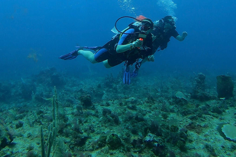 PUNTA CANA: Shark Diving Experience