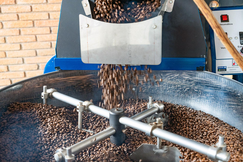 Huatulco: Pluma Hidalgo Coffee Origin and Essence.