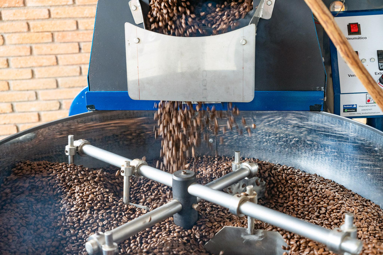 Huatulco: Pluma Hidalgo Coffee Origin and Essence.