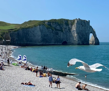 Paris: Normandy Rouen, Honfleur and Etretat Small-Group Tour