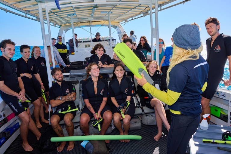 Desde Cairns Excursión de medio día para hacer snorkel en la Gran Barrera de Coral