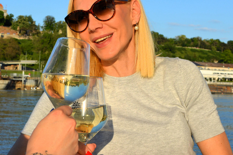 Belgrade: PRIVATE Luxury Boat Cruise on 2 Rivers 2 HOURS Private luxury boat day cruise + FREE DRINKS