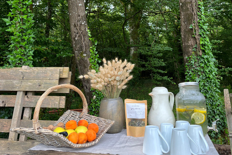 In Gironde: Yoga, walk, and brunch in nature—for all levels In Gironde: Yoga day, nature walk & brunch - for all levels