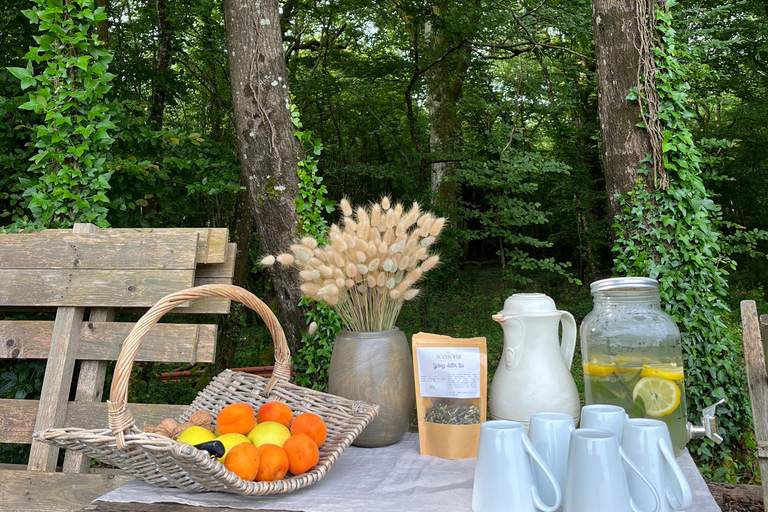 In Gironde: Yoga, walk, and brunch in nature—for all levels In Gironde: Yoga day, nature walk & brunch - for all levels