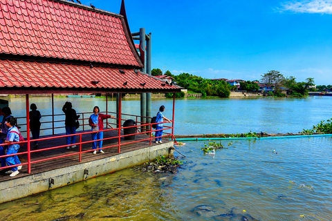 Bangkok: Ayutthaya Temples, Thai Traditions & Local Life Hotel Pickup & Drop-off (Include Entrance & Lunch)