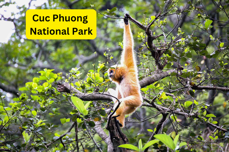 Custom Private Ninh Binh - Explore Your Way Full Packages From Ninh Binh Daily with Private Car & Lunch