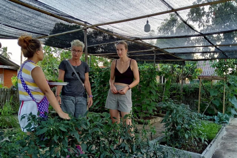 Aonang: Thaise kookles met markt- en moestuintourAonang: Thaise kookles met markt- en keukentuintour