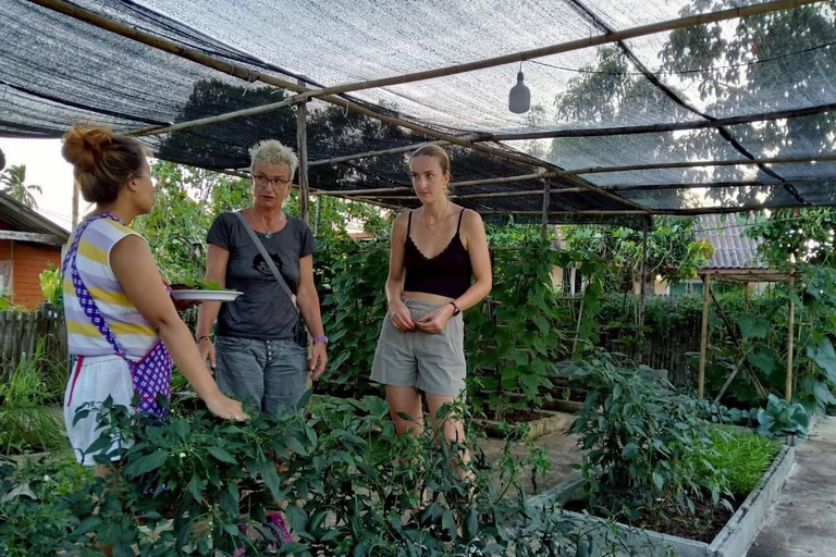 Aonang: Thaise kookles met markt- en moestuintourAonang: Thaise kookles met markt- en keukentuintour