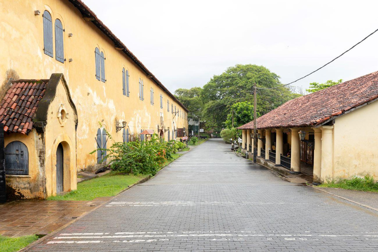 From Colombo: All Inclusive Galle Day Trip with Turtle Beach