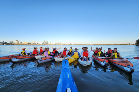 珀斯：天鹅河皮划艇之旅，搭配葡萄酒与奶酪