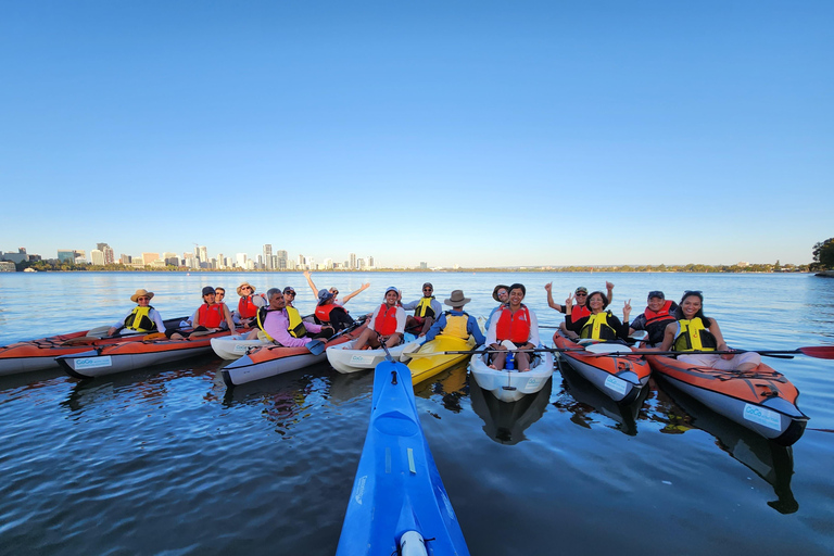 珀斯：天鹅河皮划艇之旅，搭配葡萄酒与奶酪