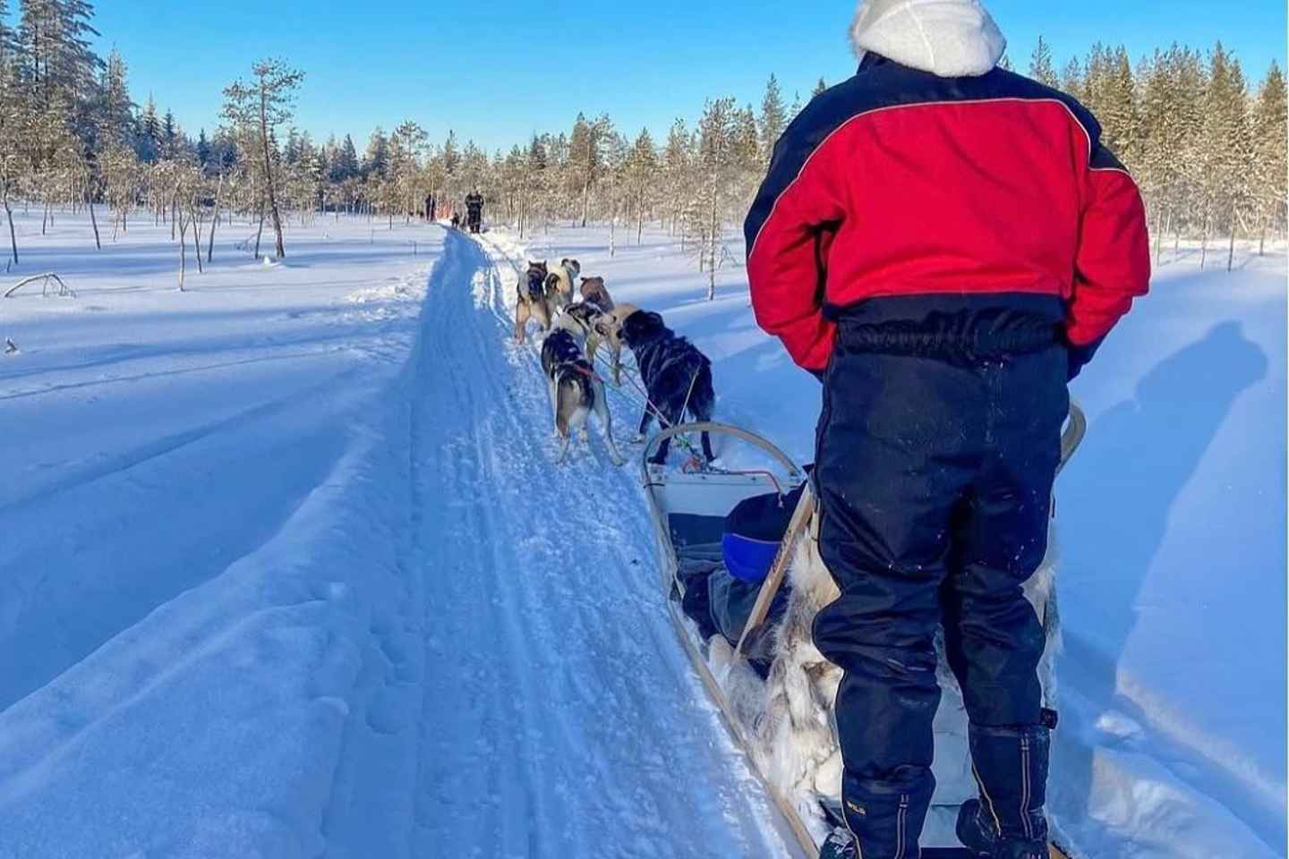 Rovaniemi: Husky Safari with Transfers & BBQ