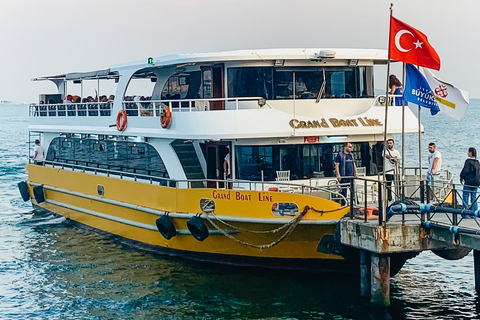 Istanbul: Bosphorus and Golden Horn Cruise with Audio Guide