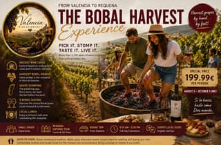 Ab Valencia: Erntetour in Requena Bobal mit Mittagessen